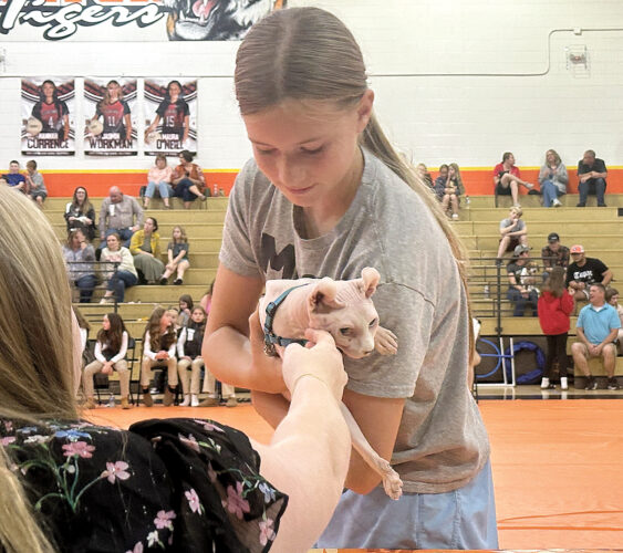 Pet Show displays furry friends | News, Sports, Jobs - The Intermountain